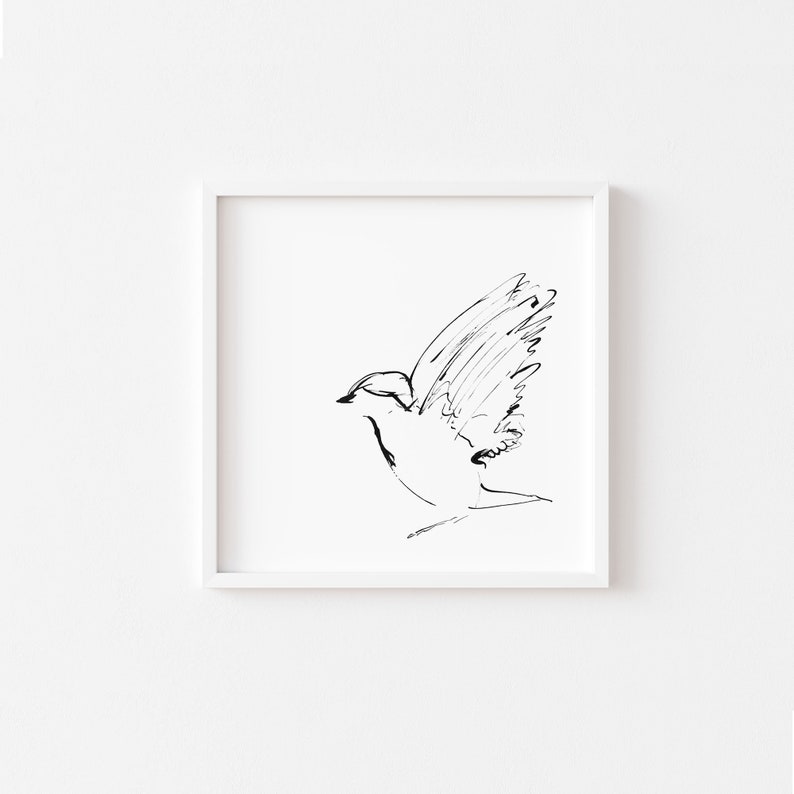 Bird print, bird wall art, minimalist bird art, black ink sketch, printable art, downloadable prints, instant download art, digital print image 7