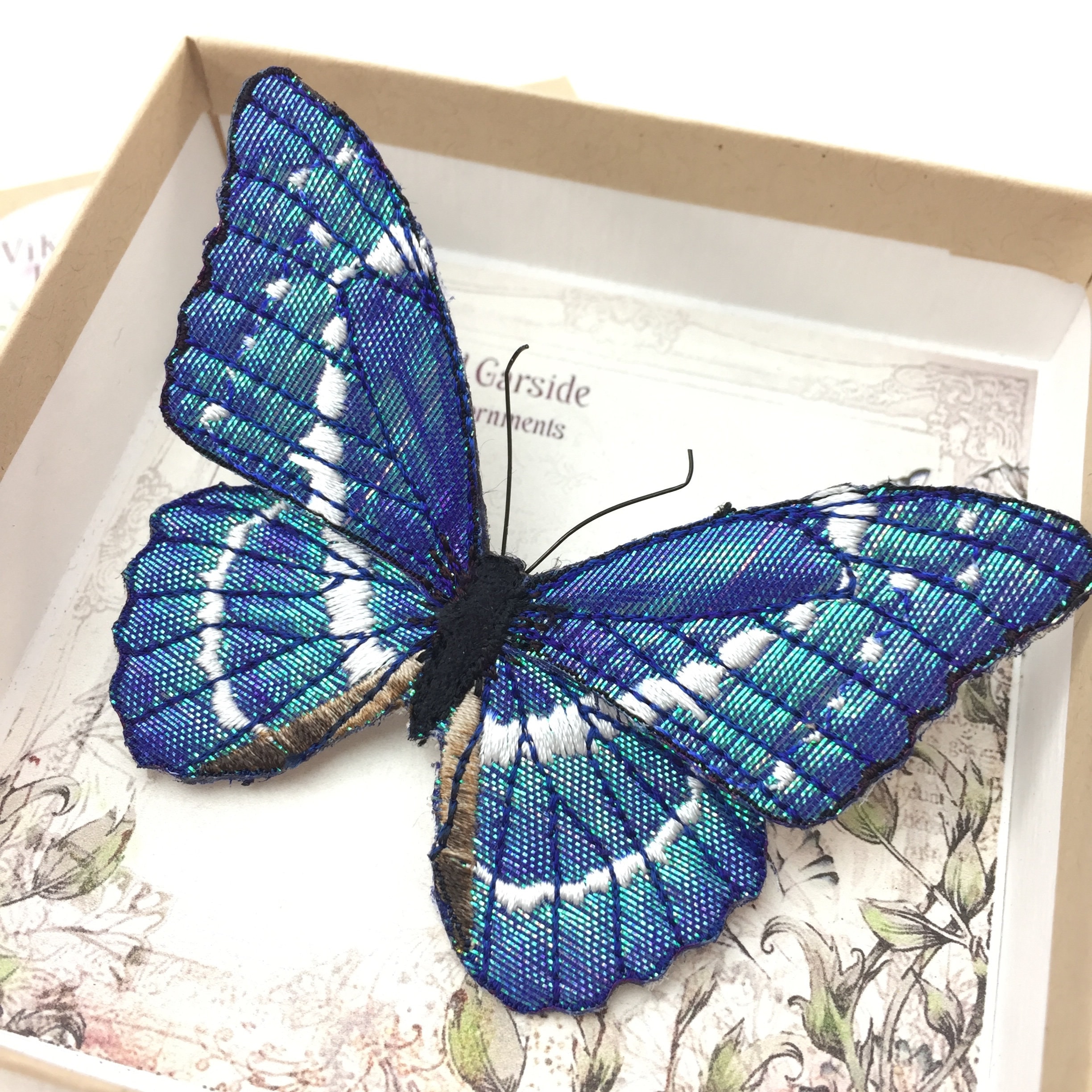 Morpho Helena - Etsy