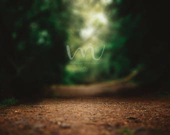 Forest/Road/Trees/Fantasy- Digital Background