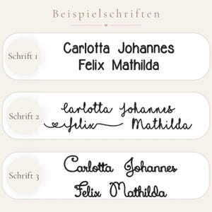 May include: A display of three font styles labeled 'Schrift 1', 'Schrift 2', and 'Schrift 3' above the names 'Carlotta', 'Johannes', 'Felix', and 'Mathilda' in black text on white rounded rectangular backgrounds.