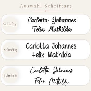 May include: A font selection chart labeled Auswahl Schriftart featuring three distinct black embroidered text styles on white rectangular labels. Each label displays the names Carlotta, Johannes, Felix, and Mathilda in Schrift 4, 5, and 6.