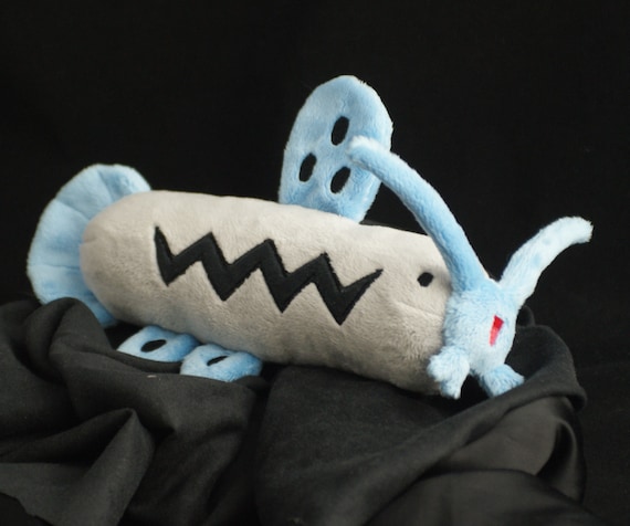 barboach plush