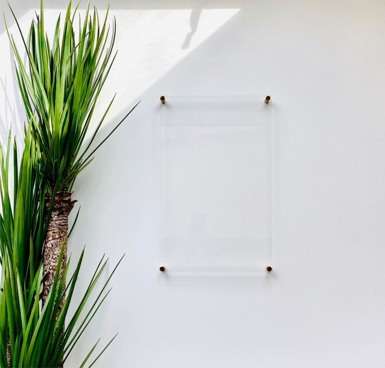 May include: A clear acrylic picture frame with gold-coloured metal clips on a white wall. A green plant is in the foreground.