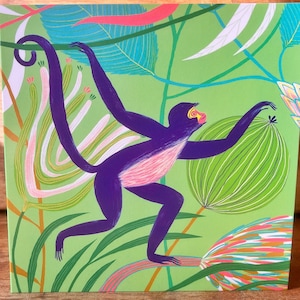 Spider Monkey