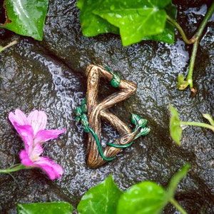 May include: A gold-colored rune pendant with a wooden texture and green accents, resting on a bed of green leaves and a wet, gray stone.