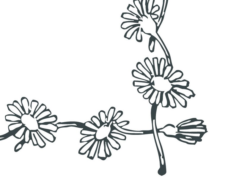 Vector Daisy Chain Border Ornamental Edges Card Elements Etsy