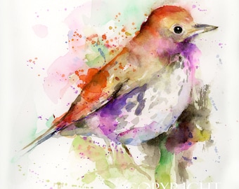Original Watercolor Bird Painting, Watercolor Gift Art, Original Wall Art,  Birds Painting, Art on Paper, Home Decor, Color Birds