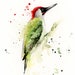 see more listings in the BIRDS Print section