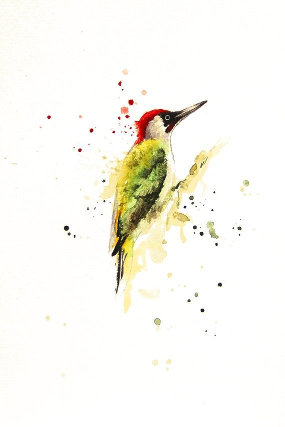 Aquarelle Peinture Oiseau Bobapainting Pic Vert