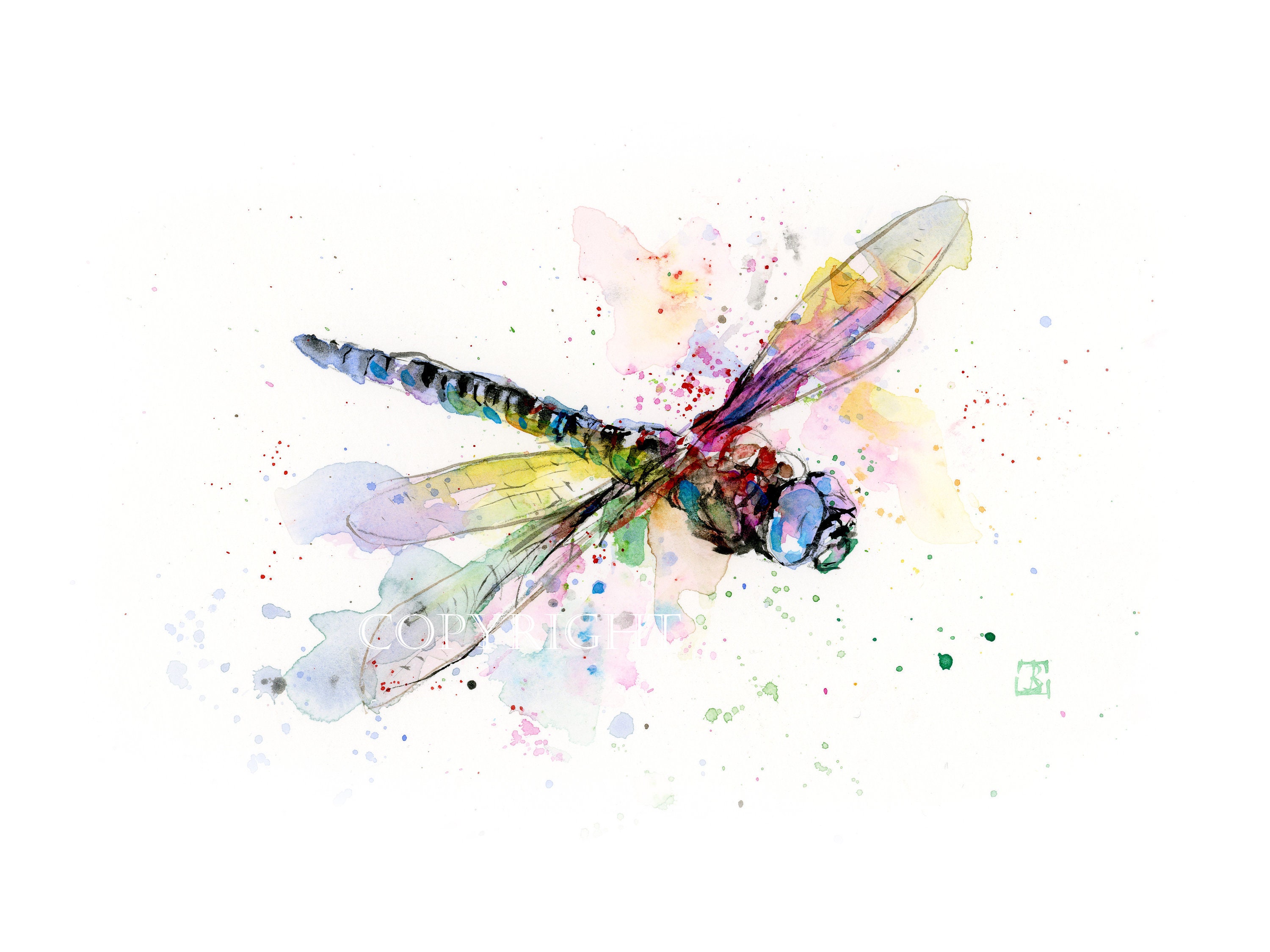 DRAGONFLY Watercolor Print Dragonfly Painting Insect Art - Etsy Australia