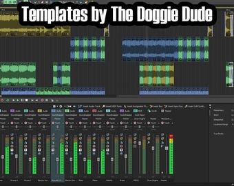 Acid Pro - Podcast/Recording Template