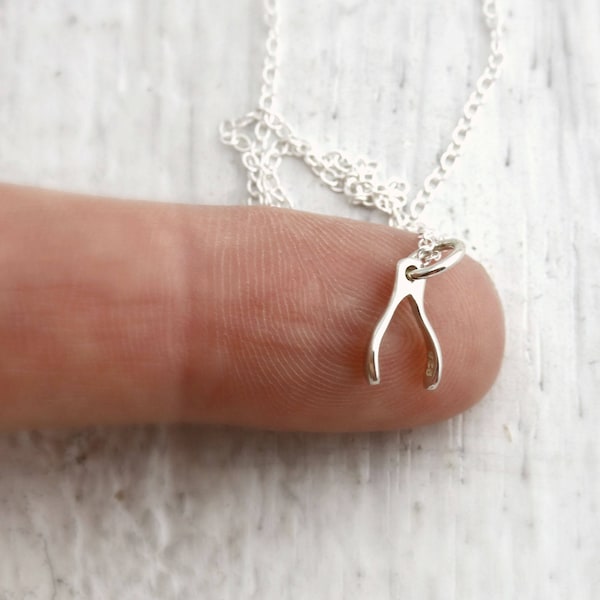Tiny Wishbone Necklace Silver Wishbone Necklace Wishbone Gifts Under 20 Luck Necklace Sterling Silver Good Luck Gifts Wishbone Pendant