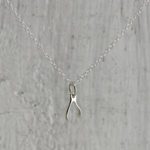 Tiny Wishbone Necklace Sterling Silver Wishbone Charm Wishbone Gifts Luck Necklace Sterling Silver Good Luck Gifts Wishbone Pendant image 3