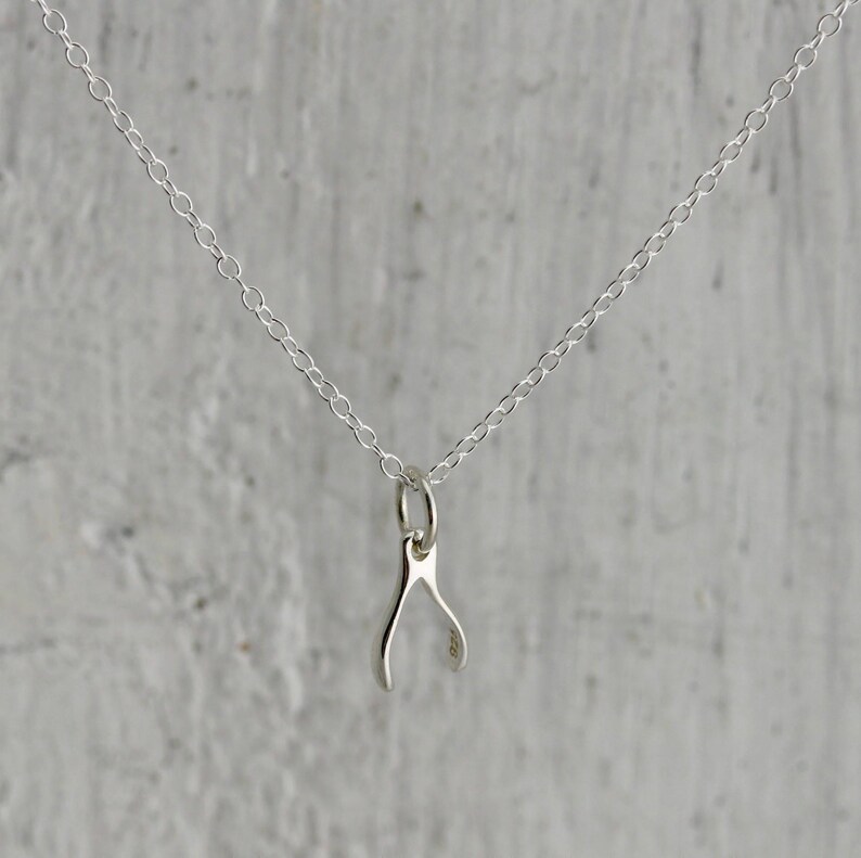 Tiny Wishbone Necklace Sterling Silver Wishbone Charm Wishbone Gifts Luck Necklace Sterling Silver Good Luck Gifts Wishbone Pendant image 3