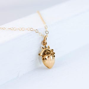 Gold Anatomical Heart Necklace, Realistic and Anatomically Correct Heart Pendant, Medical Jewelry, Physician, Cardiac Nurse or Doctor Gift