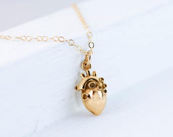 Gold Anatomical Heart Necklace, Realistic and Anatomically Correct Heart Pendant, Medical Jewelry, Physician, Cardiac Nurse or Doctor Gift