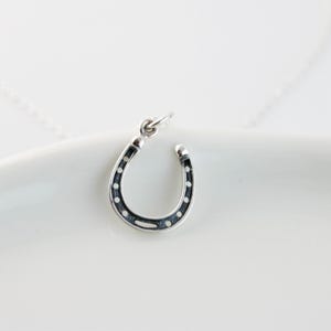 Horseshoe Necklace, Sterling Silver Lucky Charm Jewelry for Cowgirl Gift for Rider, Equestrian Pendant, Rustic Western Rodeo Style Necklace