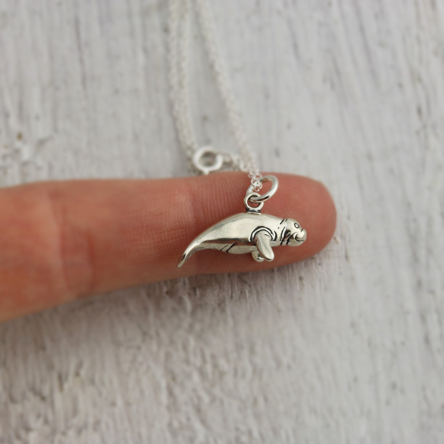 Manatee pendant store