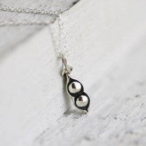 Two Peas in a Pod Necklace - Sterling Silver Two Peas in a Pod Charm - Pea Pod Necklace - Twins Necklace - Best Friends Jewelry