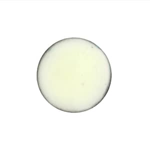 1202 Off White Thompson Opaque Enamel