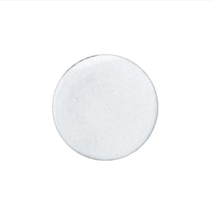 1020 Titanium White Thompson Opaque Enamel