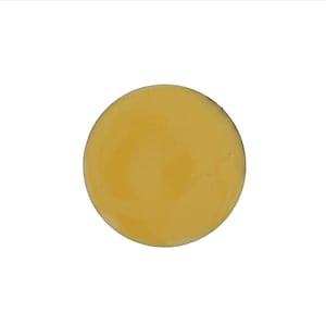 1240 Pine Yellow Thompson Opaque Enamel
