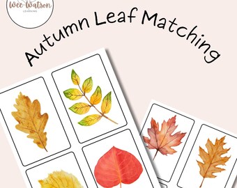 Autumn Watercolor Leaves Matching Activity for Preschoolers