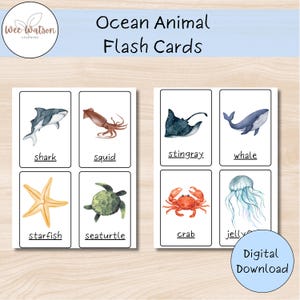 Ozean-Tier-Karteikarten | Druckbare Meerestiere | Lernaktivität für Kleinkinder | Digitaler Download