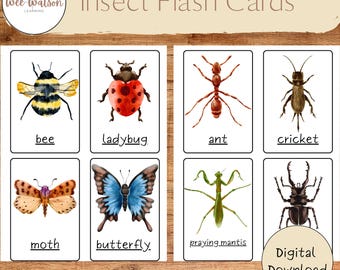 Insect Flash Cards: Watercolor Bug Learning for Toddlers (Digital Download)