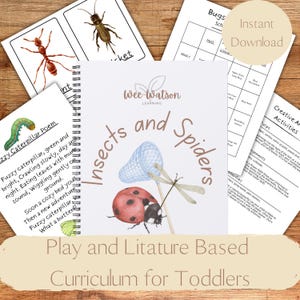 May include: A spiral-bound book titled "Insects and Spiders" with watercolor illustrations of a ladybug, dragonfly, and net. Includes printable worksheets and a poem about a caterpillar. The text "Play and Literature Based Curriculum for Toddlers" is also visible.