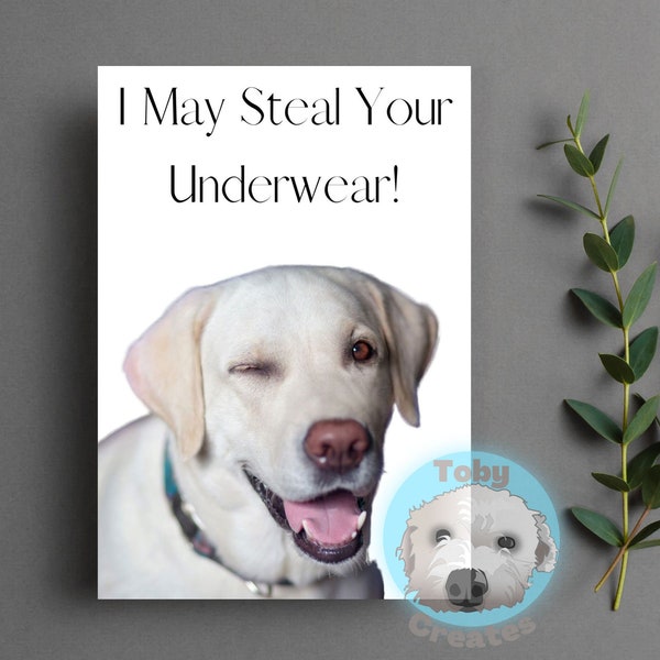 Funny Dog Valentine's Card, Rude Valentines Card, Cute Dog Card, Labrador Greeting Card