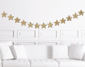 Star 1st Year Milestone Picture Banner, 1 Year Birthday, First Party Decorations, Garland Bunting, Twinkle Twinkle Little Star Birthday
