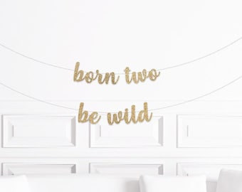 Rock and Roll Birthday Decorations, Born Two Be Wild Banner, Two Wild Birthday Decorations, Safari Themed Party