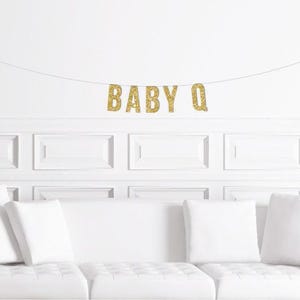 Custom Baby Q Banner / Barbeque Baby Shower Decoration / Gender Neutral BBQ / Co Ed Baby Shower Decoration Couples  Decor Outdoors BBQ