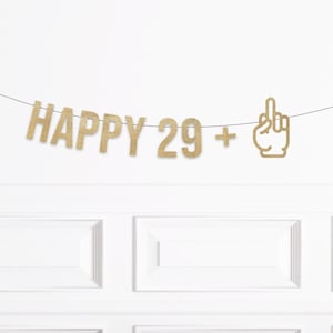 29 Plus Middle Finger Birthday Banner, Funny Middle Finger 30th Birthday Decorations, Man Woman Thirtieth Birthday Decor, Twenty Nine Plus 1