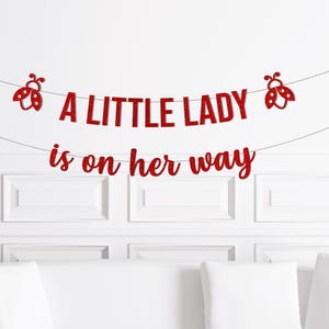 Our Little Lady Is On Her Way Banner, Lady Bug Theme Baby Shower Decor, insect Decorations, Spring Garden Ideas Sign Backdrop