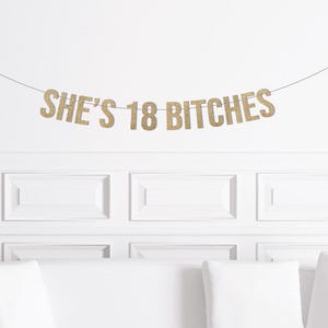 She's 18 Bitches Banner / Gold Glitter Birthday Sign  / Women's Banner/ Girl's Birthday Party/  18th eighteen eighteenth Decoration / Decor