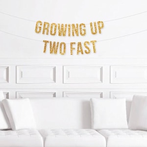 Growing Up Two Fast Banner, Garden Party 2nd Birthday Decorations, Girl's 2nd Birthday Decor