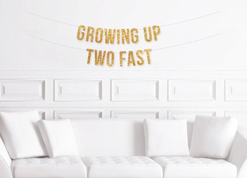 Growing Up Two Fast Banner, Garden Party 2nd Birthday Decorations, Girl's 2nd Birthday Decor