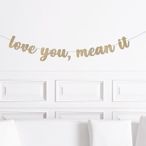 Love You, Mean It Valentine's Day Banner, Galentines Party Decor, Valentine's Baby Shower Decorations Party Supplies