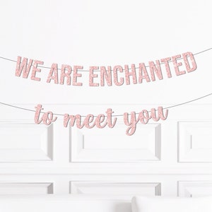 We are Enchanted to Meet You Banner, Enchanted to Meet You Themed Baby Shower Party Decorations Decor Supplies, Block + Script Banner