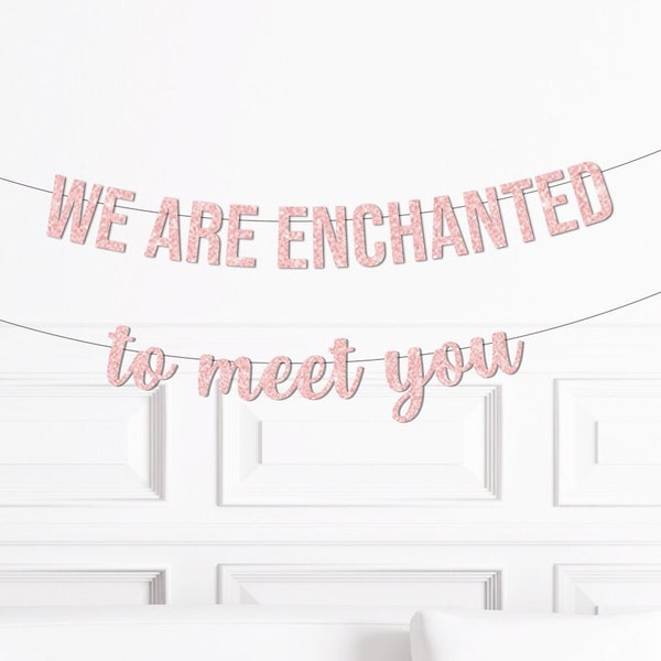 We are Enchanted to Meet You Banner, Enchanted to Meet You Themed Baby Shower Party Decorations Decor Supplies