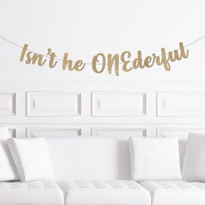 Isn't He Onederful Script Banner, Boy's 1st Birthday Cursive Party Decorations, First Birthday Decor