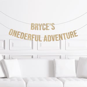 Custom Onederful Adventure Banner, Adventure 1st Birthday Decorations, Camping Theme Exploring World Theme Birthday Decor, Airplane Boy Boys