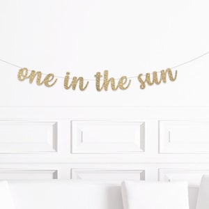 Sun Themed 1st Birthday Decor, One in the Sun Banner, Sunshine 1st Birthday Decorations, Girl Boy