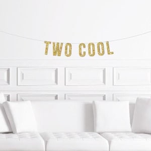 Two Cool Banner / Boy's Second Birthday Party Sign / 2nd Birthday Party Theme Ideas / Girl's Two Years Old / Modern Too Gold Letter Bunting