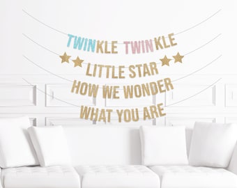 Twin Gender Reveal Decorations, Twinkle Twinkle Little Star Banner for a Twin Baby Shower, How We Wonder What You Are Decor