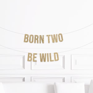 Born Two Be Wild Banner, Two Wild Birthday Decorations, Rock and Roll 2nd Birthday Party Decor, Safari Themed Party