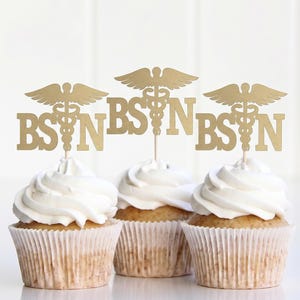Nurse Graduation Decorations, BSN Cupcake Toppers, Bachelor of Nursing Science Symbol Decor, Grad Party Supplies, Program Theme