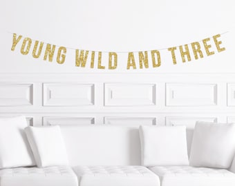 Young Wild and Three Banner, Young Wild and 3, Boy Birthday Party, Third Birthday, Three Year Old Boy's
